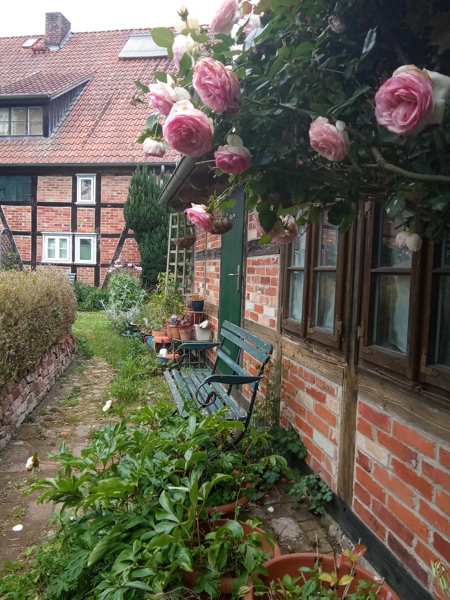 FrauWintergarten tweet media