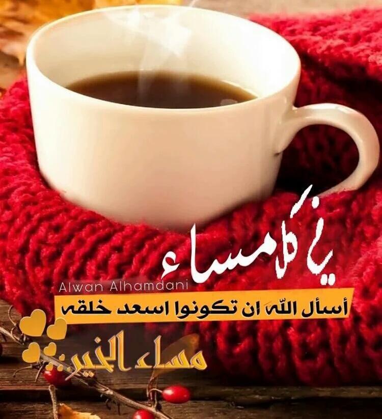 ابوسامي عبده صالح tweet media
