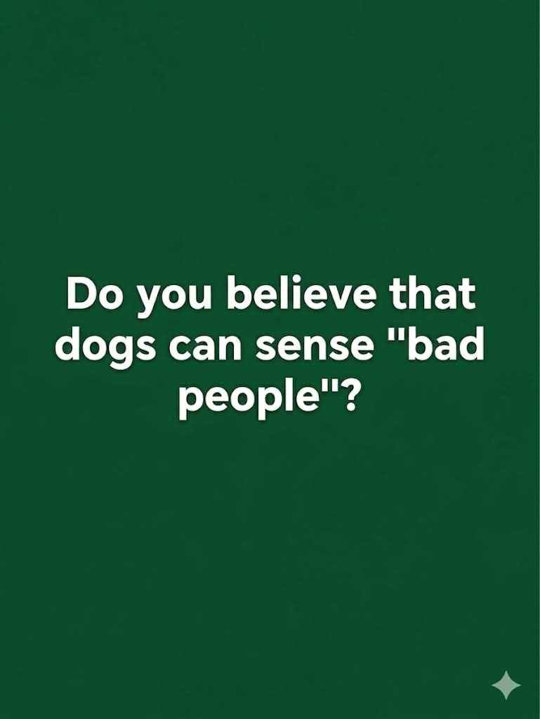 Elizabeth❣️ tweet media