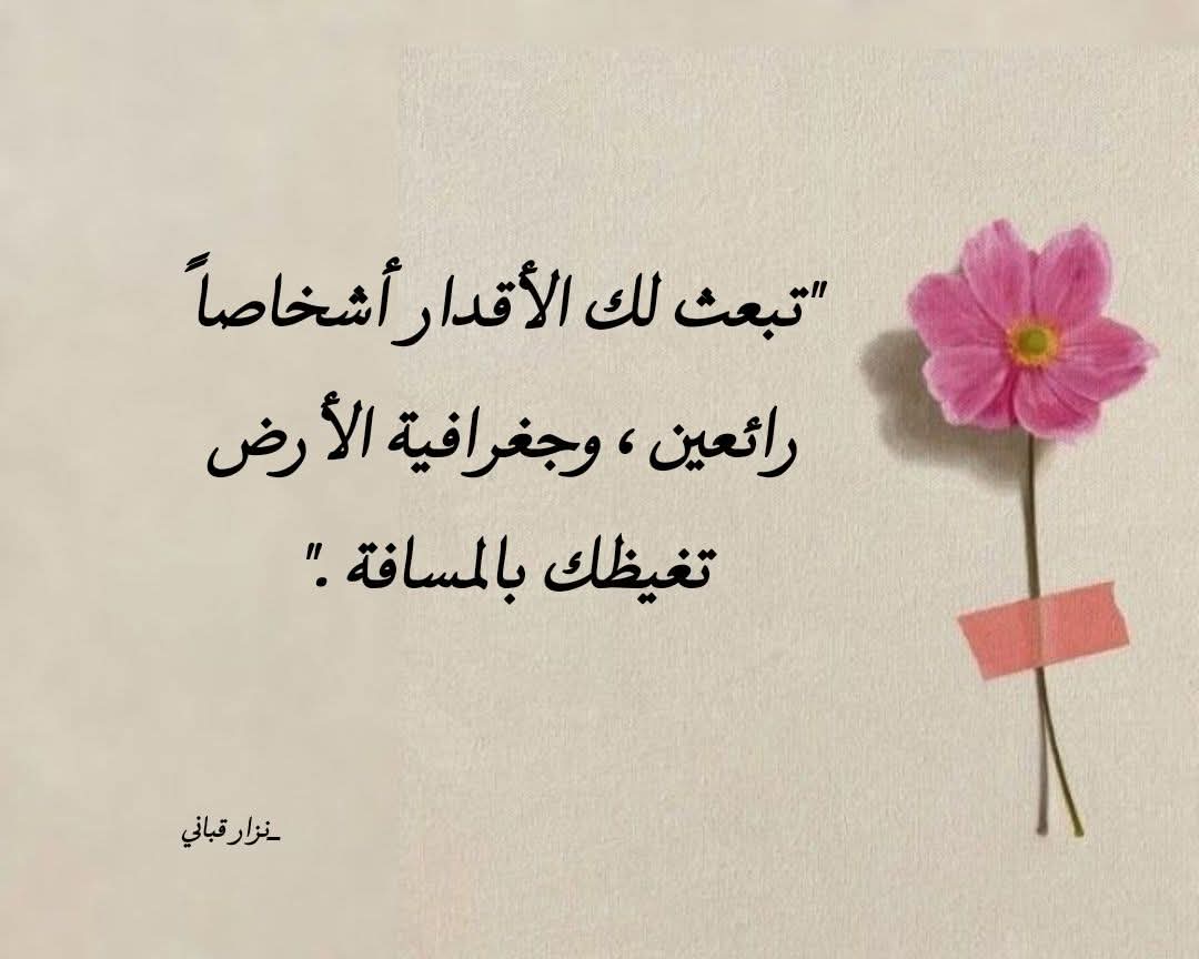 عبدالرحمن tweet media