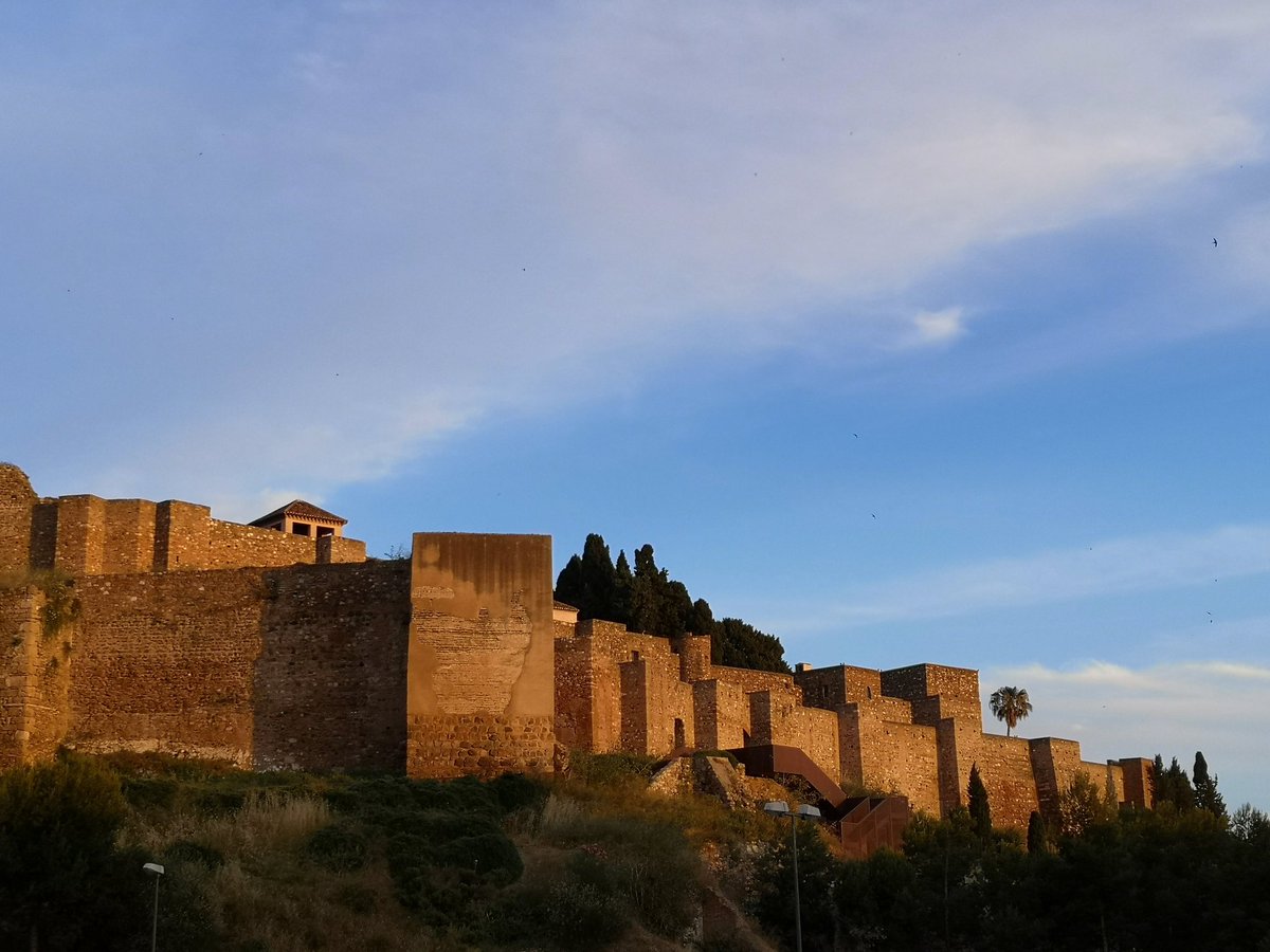 Orgullosos de Málaga tweet media