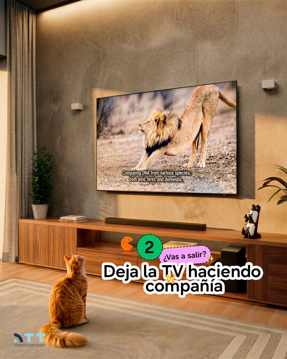 Samsung_Bolivia's tweet image. Casa conectada, gatito cómodo. 😻​ SAM deja todo listo con SmartThings, incluso a distancia.​

Y tú, ¿cómo usas las facilidades de SmartThings en tu día a día?​

 #SmartThings #SAM
