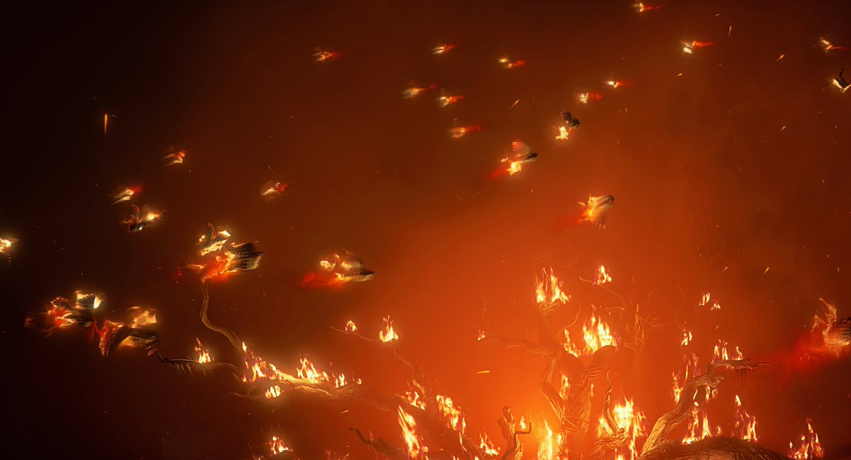 Dylan 👑 tweet media