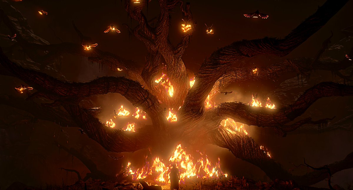 Dylan 👑 tweet media