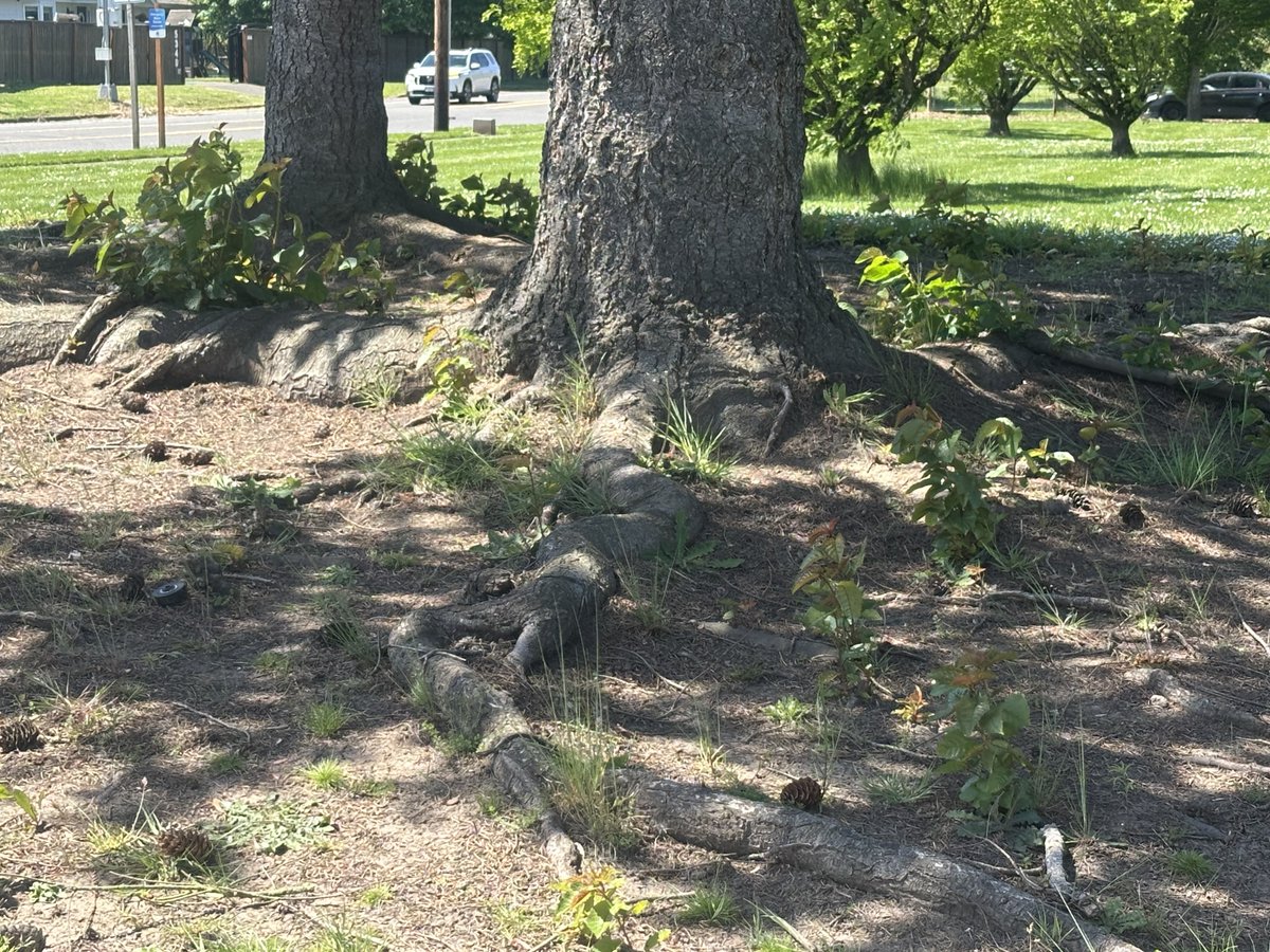 Rachel Bitecofer 🗽🦆 tweet media