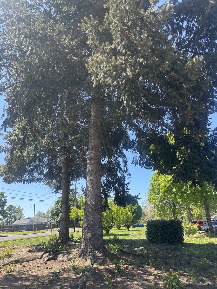 Rachel Bitecofer 🗽🦆 tweet media