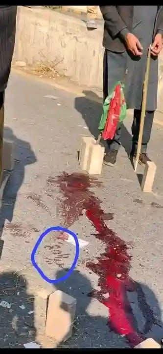 بھول تو نہیں گئے؟؟؟