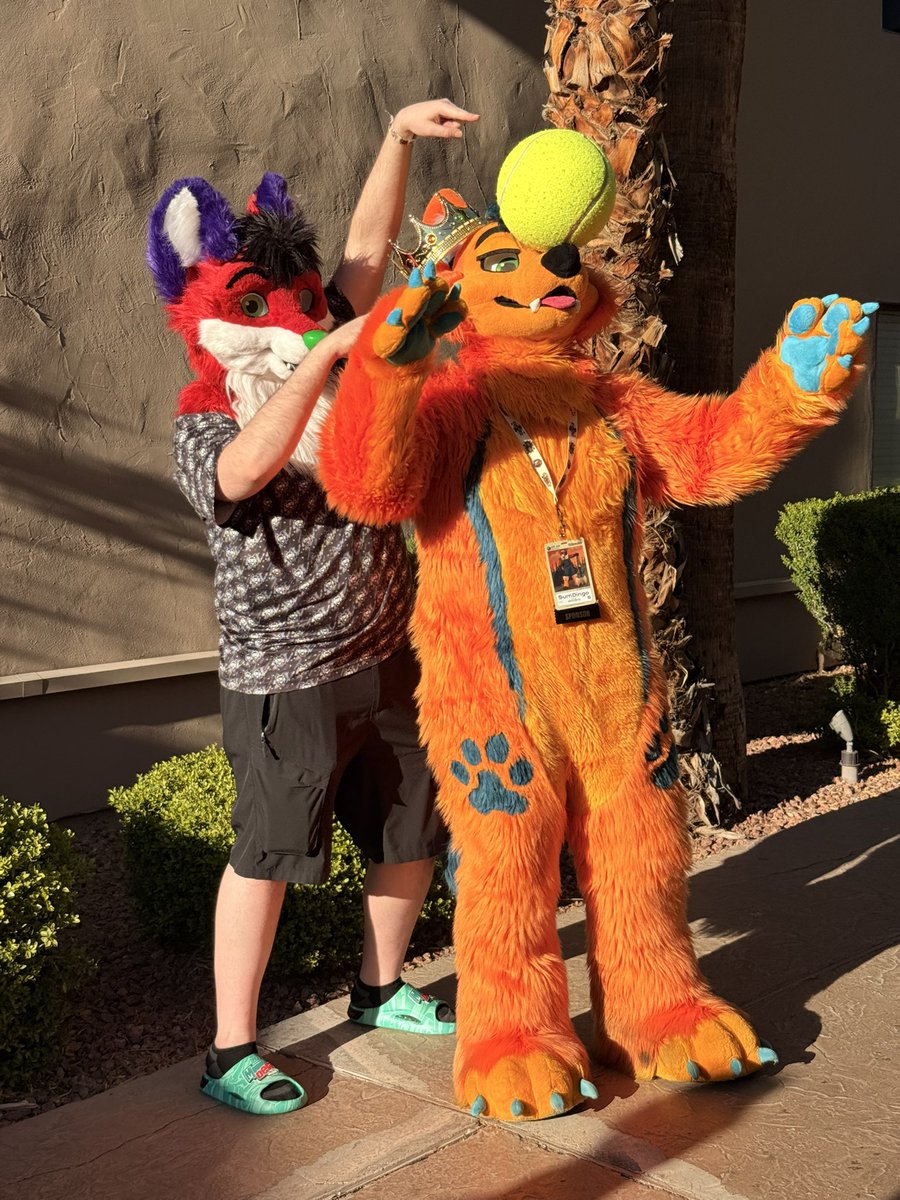 SumDingo🔜 LVFC tweet media