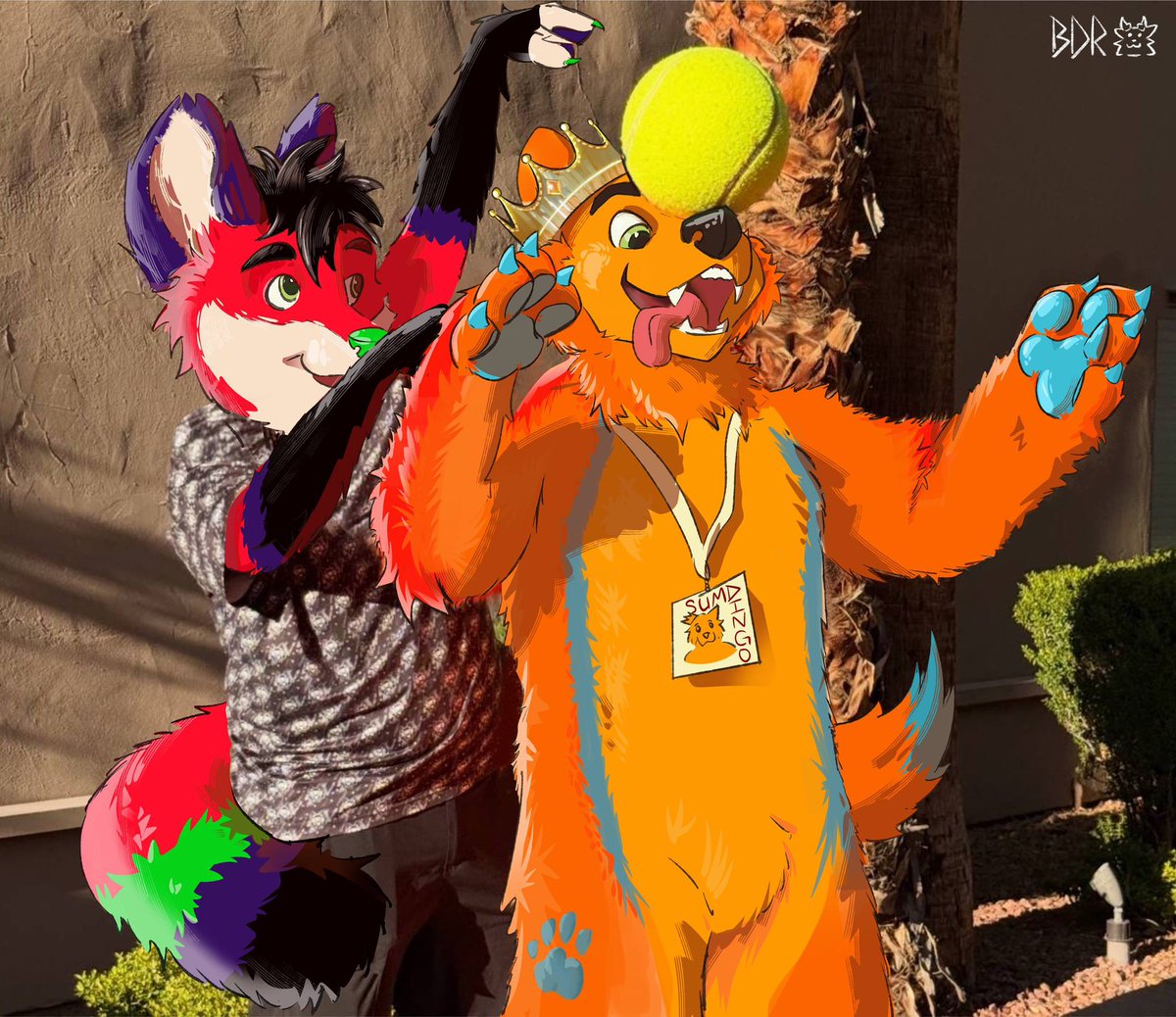 SumDingo🔜 LVFC tweet media