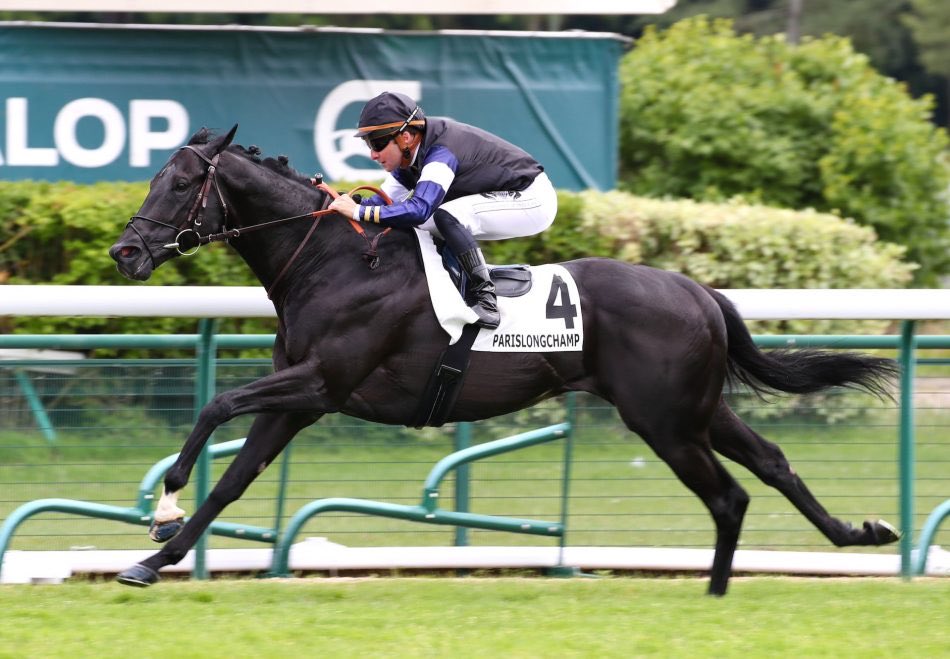 Capital Stud tweet media