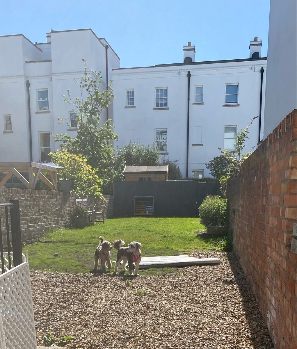 BeMoreBob tweet media