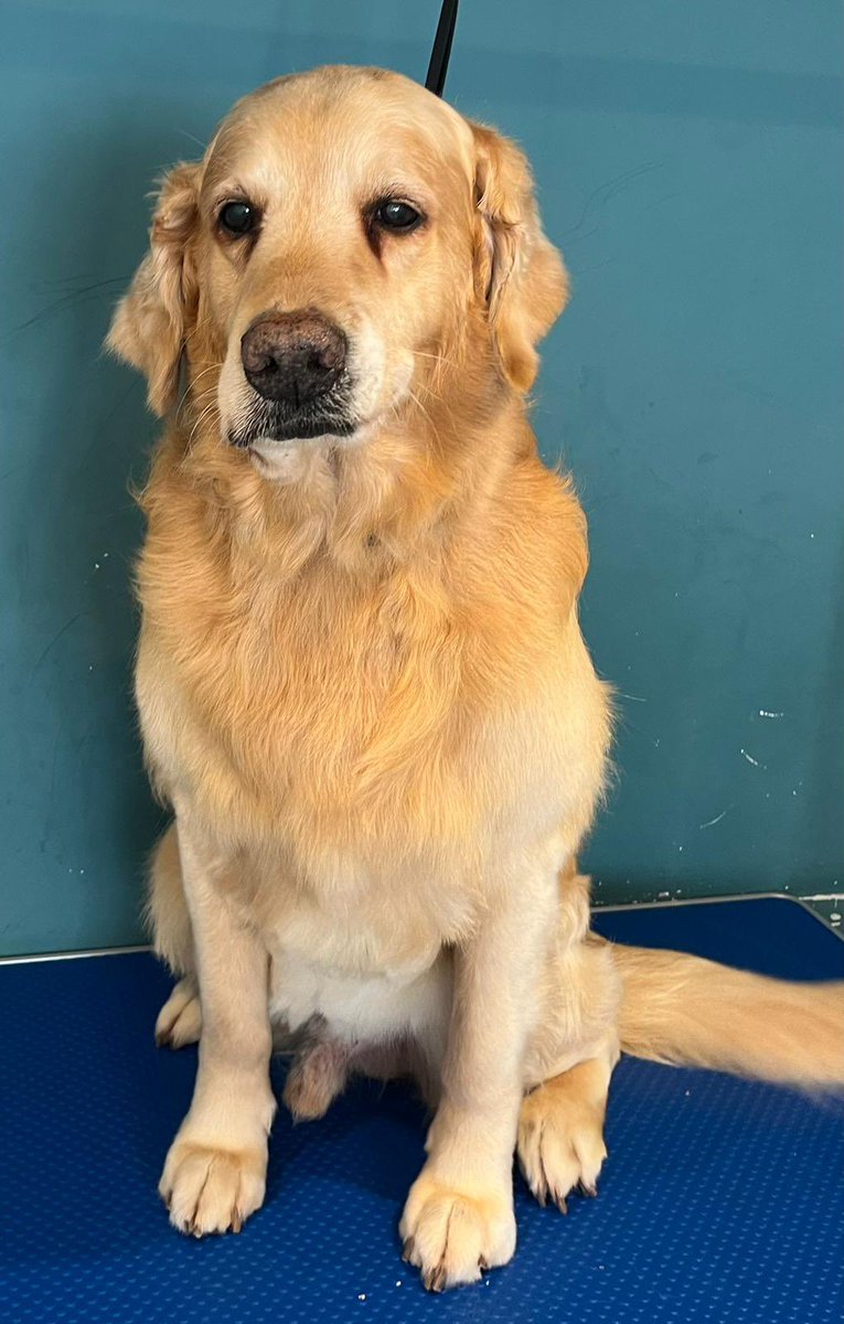 BeMoreBob tweet media