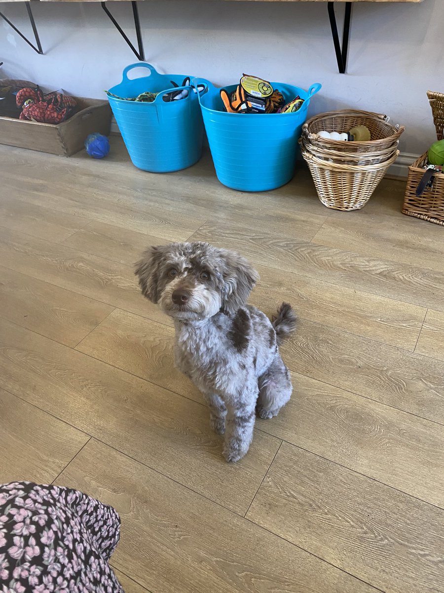 BeMoreBob tweet media