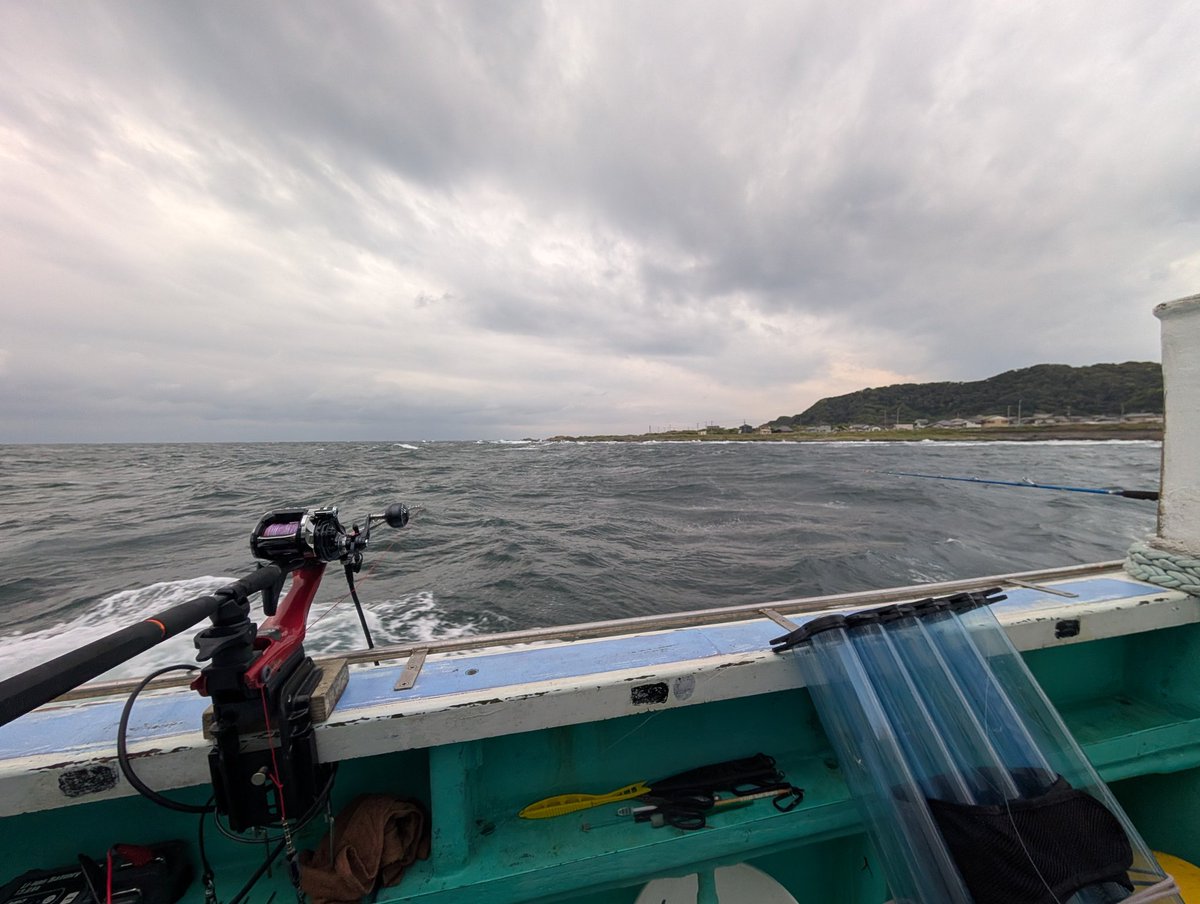 夏鱚冬剥（すーさん） tweet media