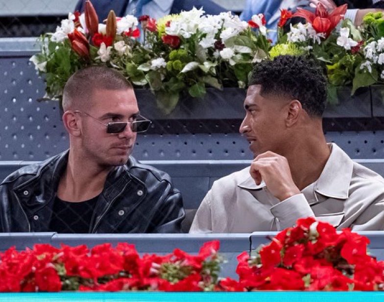 Madrid Zone tweet media