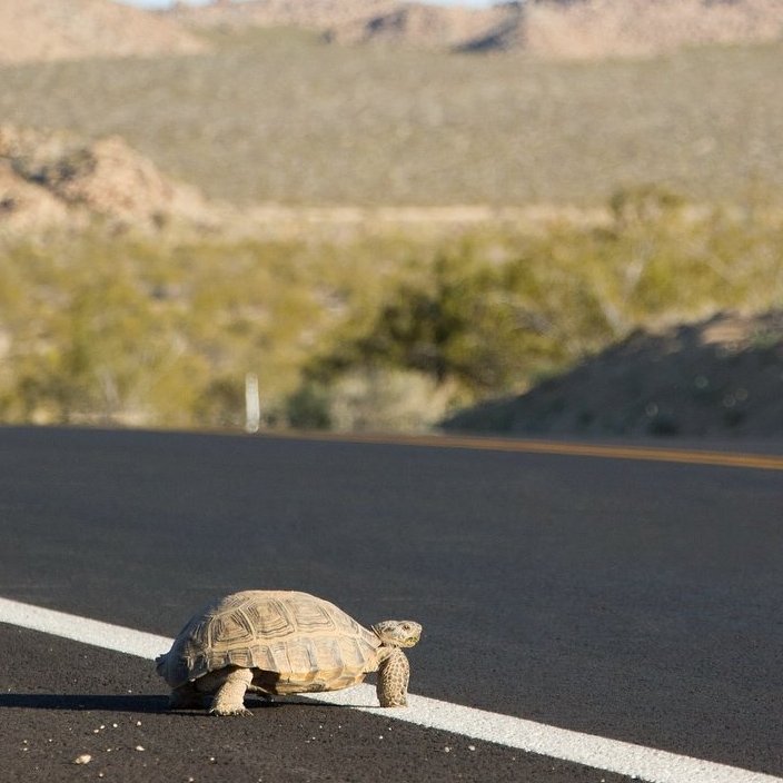US Department of the Interior tweet media