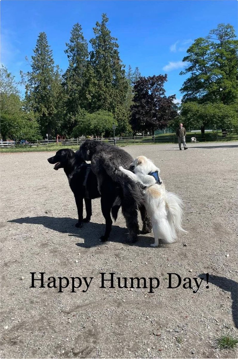 ArnieChang's tweet photo. Happy #humpday everyone! https://t.co/ef7g3AE8HI