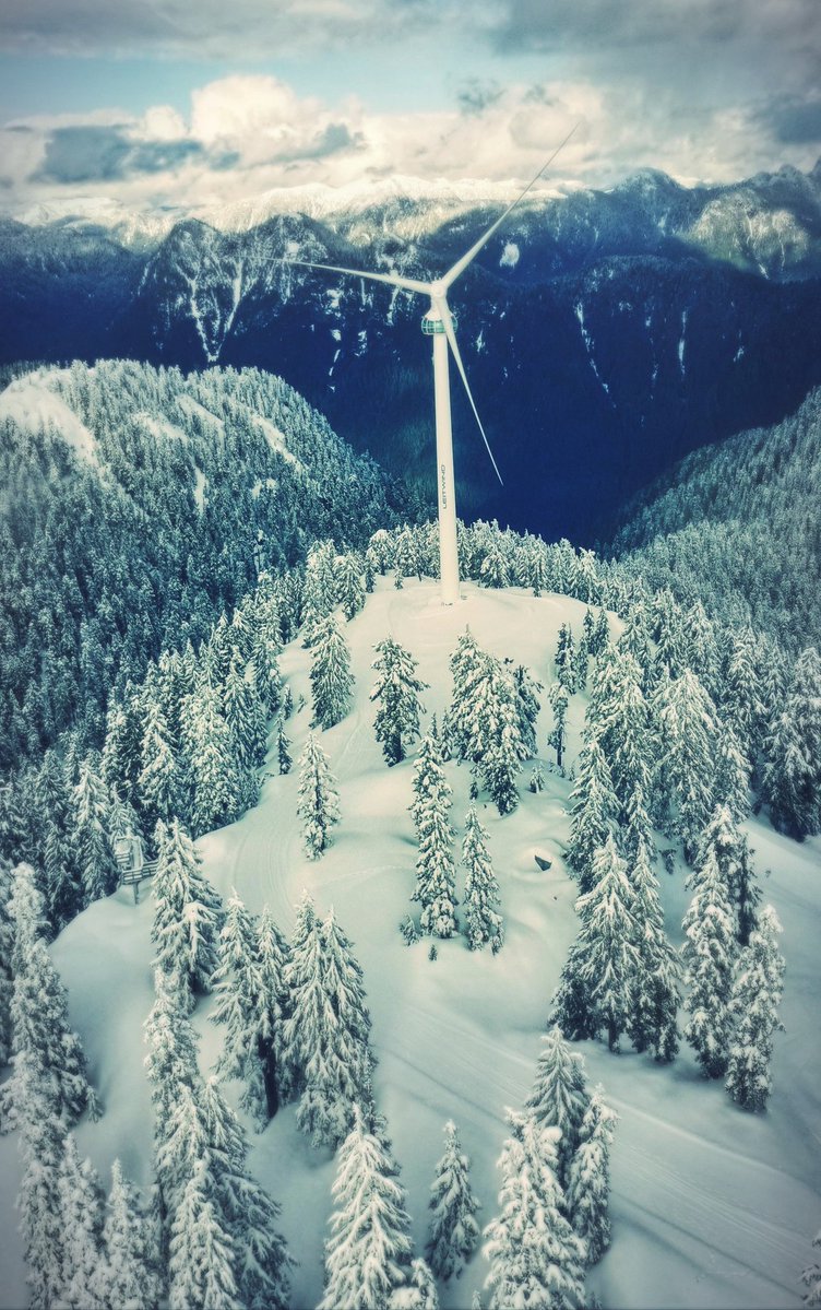 TrishJewison's tweet image. Hump Day photo dump around #Vancouver 📷