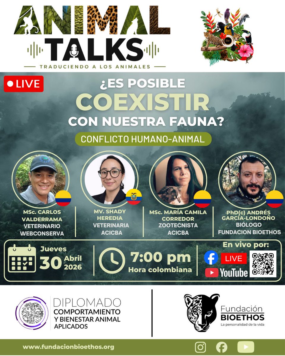 bioethoscol's tweet photo. ⏰ ¡PON LA ALARMA! 

Este jueves 30 de abril te traemos un nuevo #AnimalTalks en vivo

¿Es posible coexistir con nuestra fauna? 

Acompáñanos en una conversación sobre conflicto humano-animal con un panel de expertos increíble: https://t.co/ItzQ6gtWwN