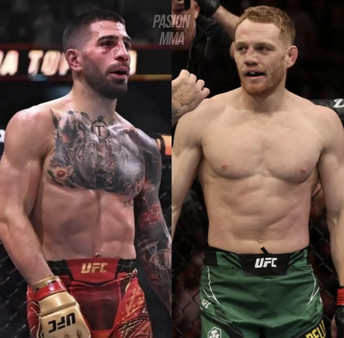 MMA FIXED tweet media