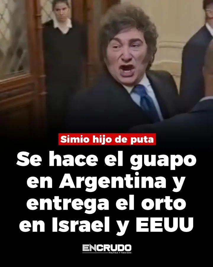 todosunidos tweet media