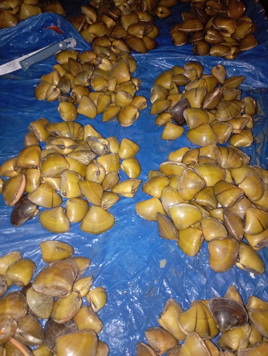 KUYIK BASSEY tweet media