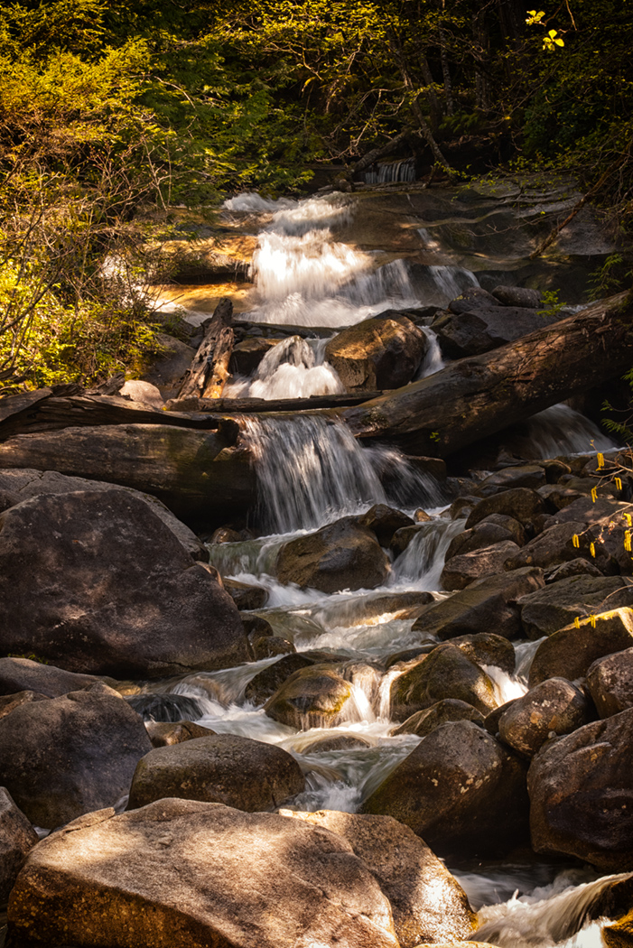 Sam_Alexandra23's tweet image. Welcome to #Water Wednesday Gang!  Hope you have a few captures to share!  Enjoy your mid-week and be safe!   #Photography #Nature