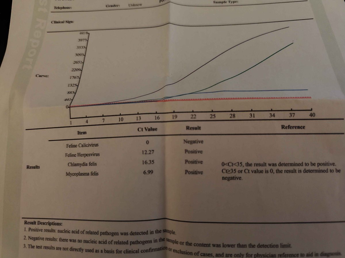 Mikhail J. Clive - Author 📚🐯 tweet media