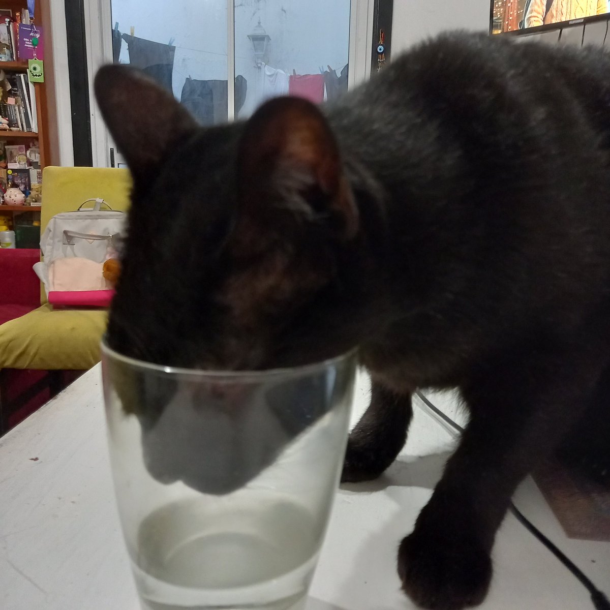 andalaosa tweet media