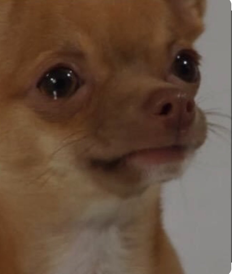 arinanye freedom tweet media