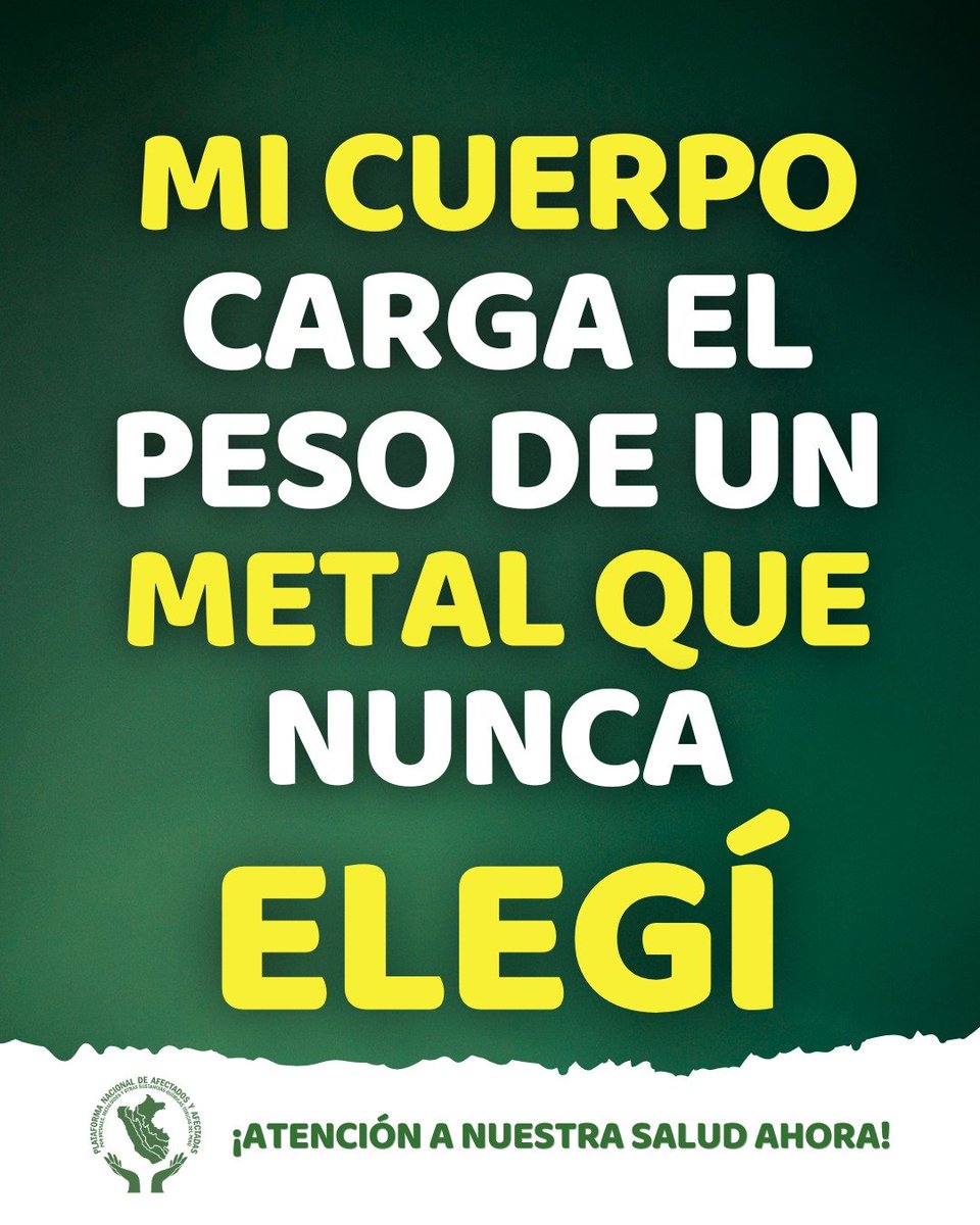 Plataforma Nacional de Afectados x Metales Tóxicos tweet media