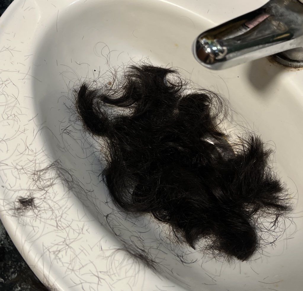 ✎ᝰ. Dalton M. Jones tweet media