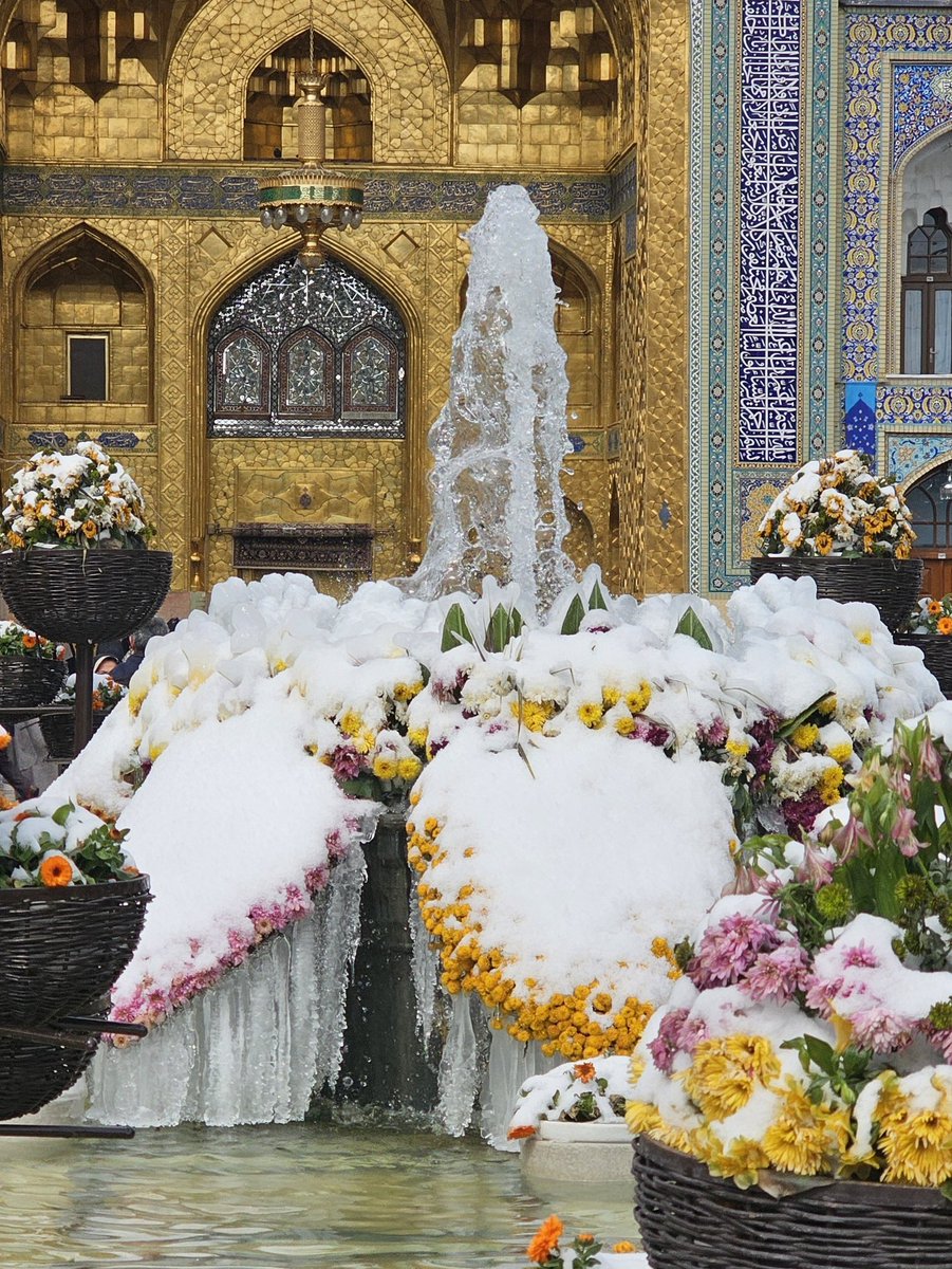 Afzal(افضل)khosrave tweet media