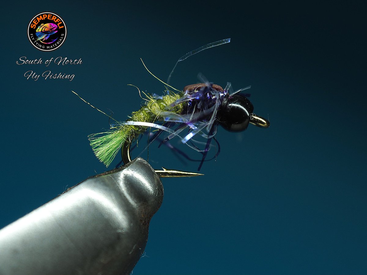 Semperfli Fly Tying tweet media