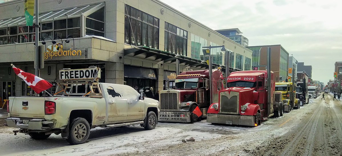 Dragon Navigator 🌊 🇨🇦 tweet media