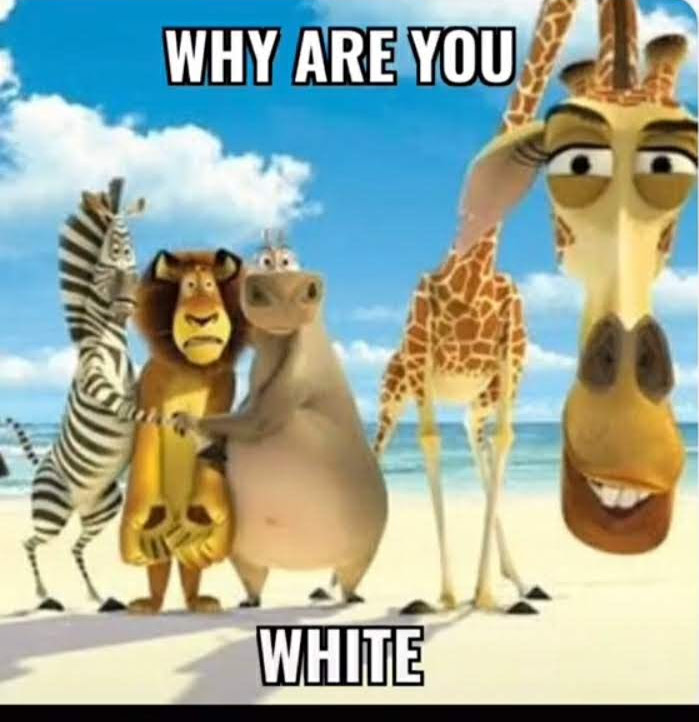 kam ᯓ∘ꕤ tweet media