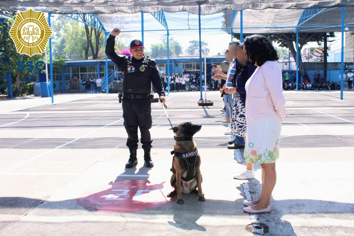 PBI_SSC's tweet image. En la @Alcaldia_Coy, la #PBI de la @SSC_CDMX participó en la #FeriaDeSeguridad en la Secundaria No. 228 #EdmundoOGorman, donde la #UnidadCanina llevó a cabo una exhibición, en la que #Randy y #Kali mostraron a las y los estudiantes sus habilidades.

Además, a través del