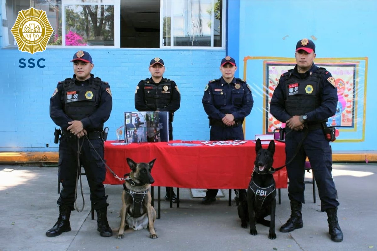 PBI_SSC's tweet image. En la @Alcaldia_Coy, la #PBI de la @SSC_CDMX participó en la #FeriaDeSeguridad en la Secundaria No. 228 #EdmundoOGorman, donde la #UnidadCanina llevó a cabo una exhibición, en la que #Randy y #Kali mostraron a las y los estudiantes sus habilidades.

Además, a través del