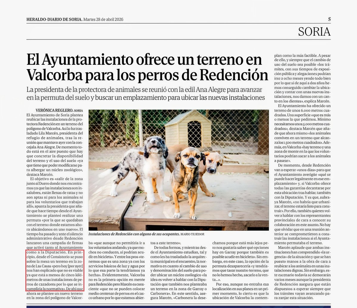 🇪🇸🐗🦌🐂🇪🇸 tweet media