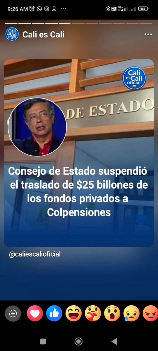 guido rubian bravo tweet media