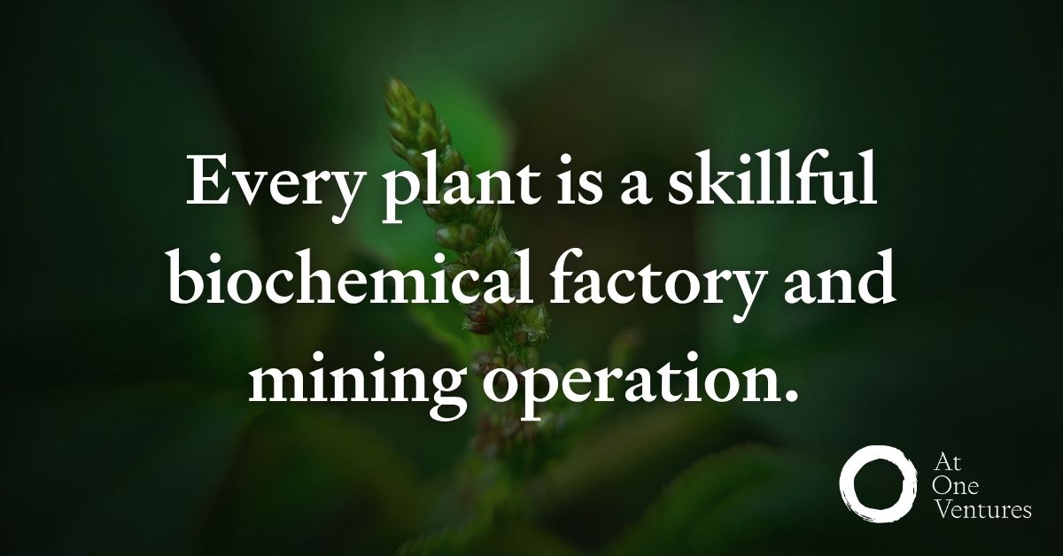 atoneventures's tweet photo. Nature has created the miraculous wealth and diversity we have inherited as a species through its sophisticated metabolisms around water, material, and energy cycling. Every plant is a skillful biochemical factory and mining operation. https://t.co/Ss8upblBsY