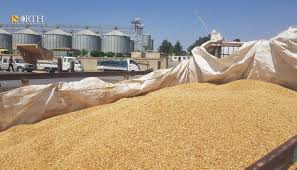 rahhalahmad63's tweet image. بشرى طيبة
أكد مدير المؤسسة السورية للحبوب حسن عثمان، أن سورية لا تحتاج هذا العام إلى استيراد القمح وفق التقديرات الأولية المتاحة، في ظل مؤشرات الموسم الزراعي وواقع الإنتاج حتى الآن.