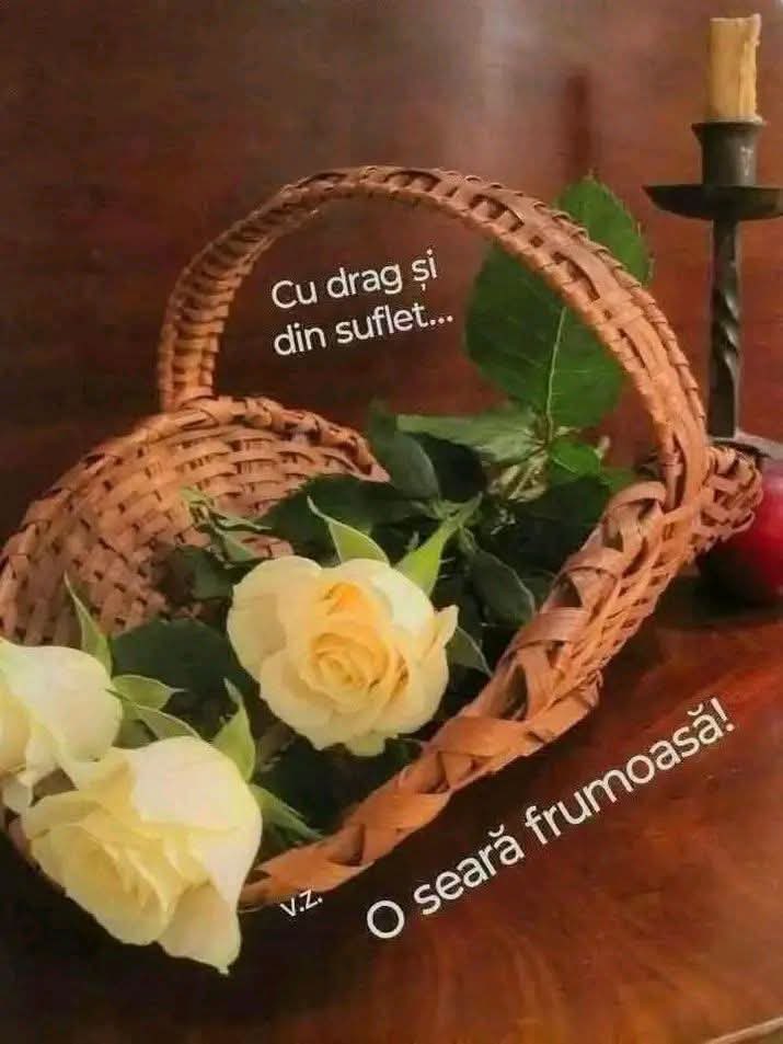 Mariana tweet media