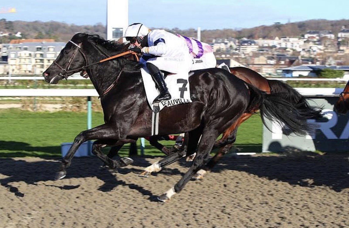 SPANISH TURF tweet media