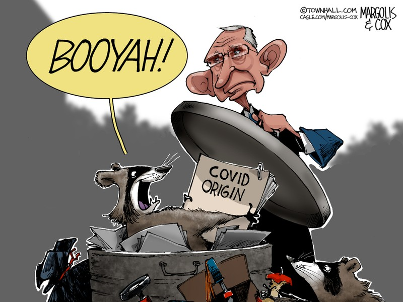 OregonCovid's tweet image. #fauci #COVID_19