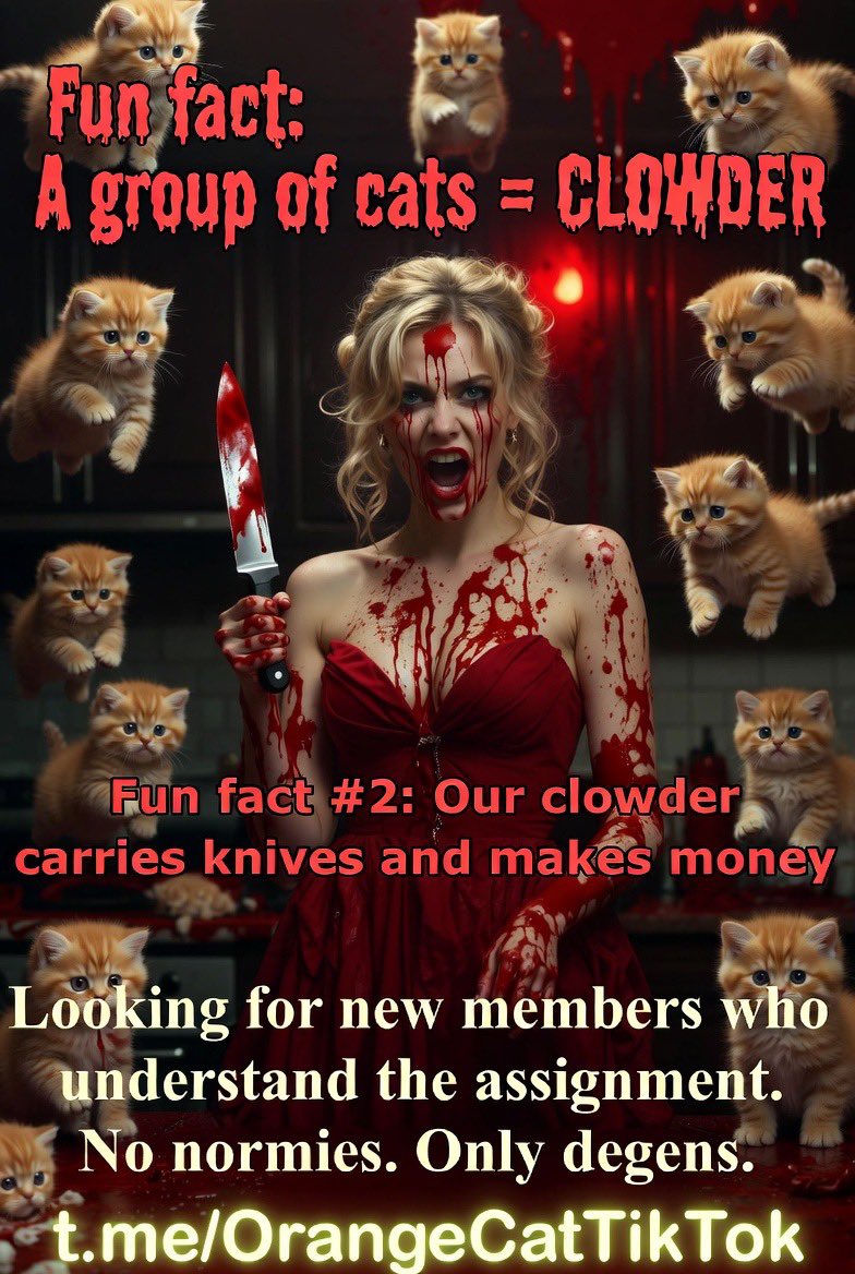 OrangeCatTikTok's tweet photo. ๐ Fun fact: A group of cats = CLOWDER
Fun fact #2: Our clowder carries knives and makes money
Looking for new members who understand the assignment.
No normies. Only degens.
Join the chaos ๐
https://t.co/8KW1OCY90N
#OrangeCat #Solana #Clowder #Memecoin https://t.co/mUh2U0rfnC