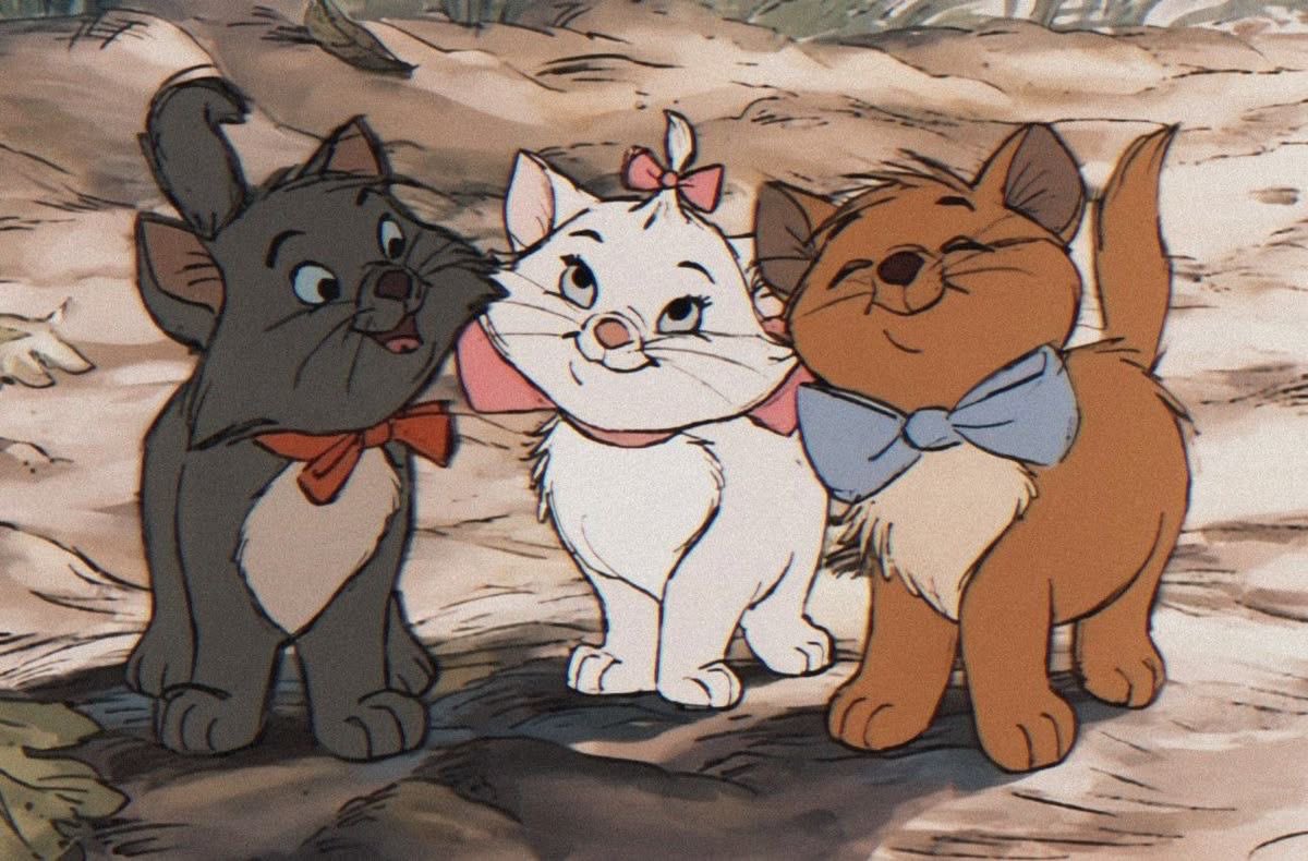 jasmin🪷 tweet media