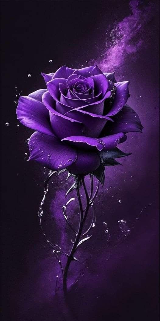 NONA AL_SiSi ‏‎‎𓈖𓅃𓂧𓇌𓅃 ⲛⲁⲇⲓⲁ ‎‎‏‎‎ ‏‎‎‏ tweet media
