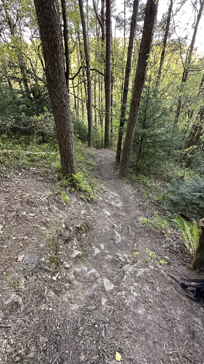 grayomtb's tweet image. #trailfairies #mtb #keepthemrunning