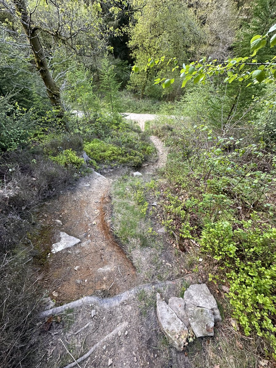 grayomtb's tweet image. #trailfairies #mtb #keepthemrunning